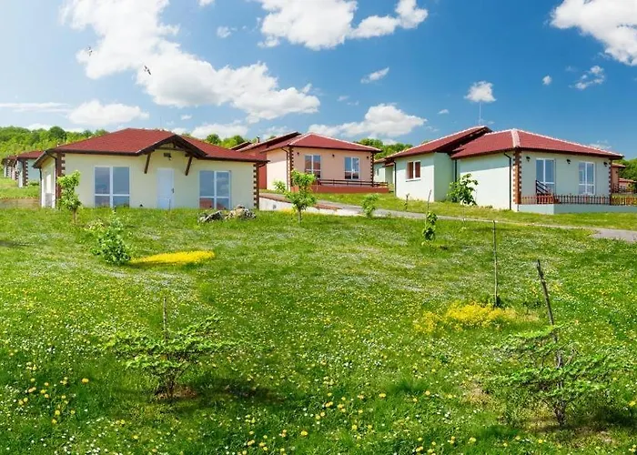 בית הארחה форевър *